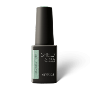 Vernis semi-permanent 15ml Polish Shift #641